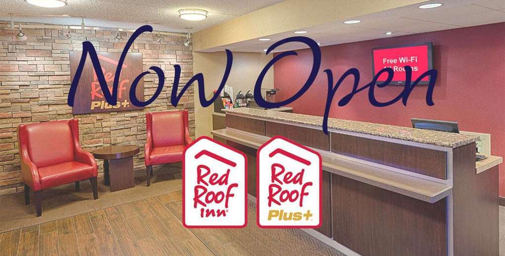 Red Roof Inn Plus+ Columbus - Worthington Interior foto